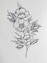 Load image into Gallery viewer, Dog Rose Limited Art Print by Sophie Elizabeth
