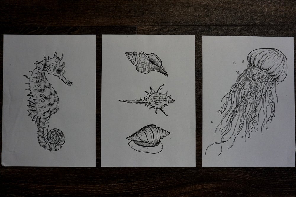 Sea Life Print Set of 3 Limited Art Prints by Sophie Elizabeth